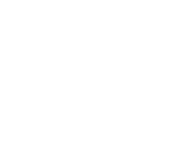 developmental-delays